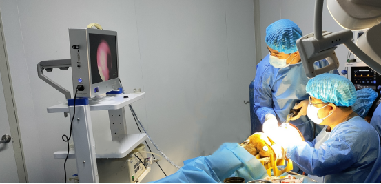 與您同行 | 國聯(lián)質(zhì)檢成功助力諾一邁爾“鼻腔填充海綿”獲批上市