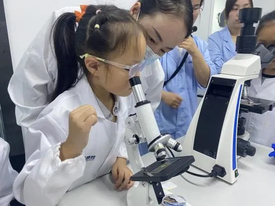 產(chǎn)品聚焦 | 蹲下來，瞇起眼睛，一起觀察「桃子上的微觀部落」