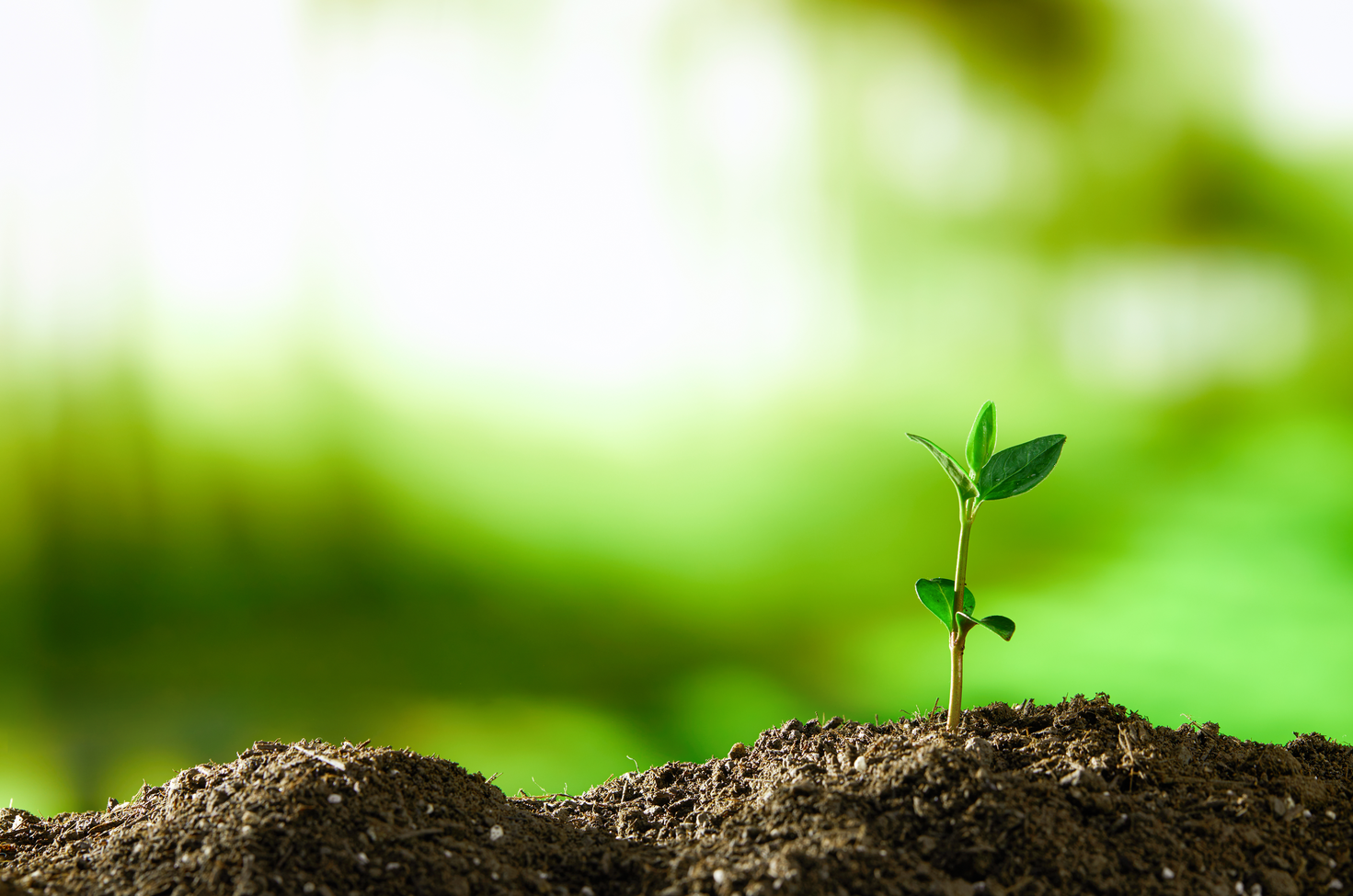 大荔縣全國(guó)第三次土壤普查試點(diǎn)縣項(xiàng)目