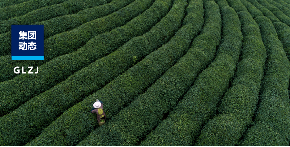 茶園到茶杯，國聯(lián)質(zhì)檢如何為陜茶全產(chǎn)業(yè)鏈注入“硬核力量”？