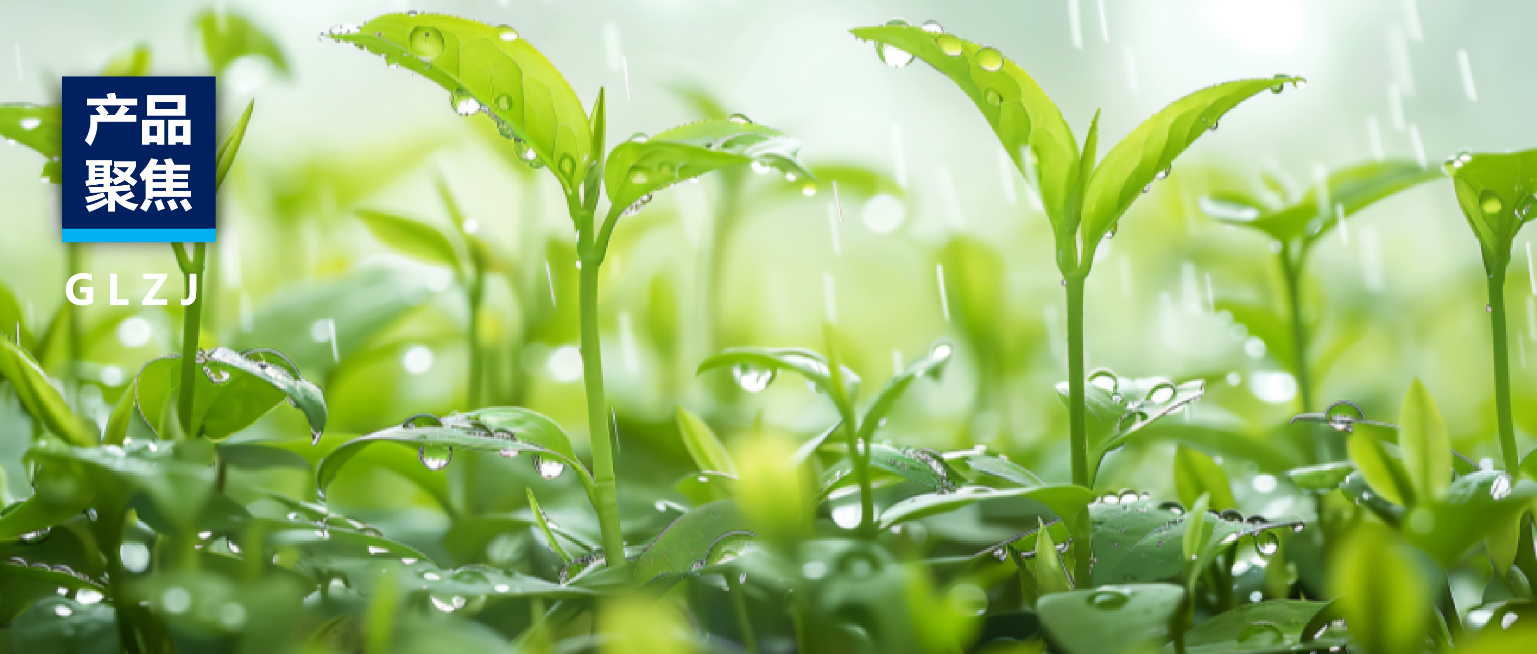 產(chǎn)品聚焦 | 國(guó)聯(lián)質(zhì)檢提供一站式茶葉解決方案